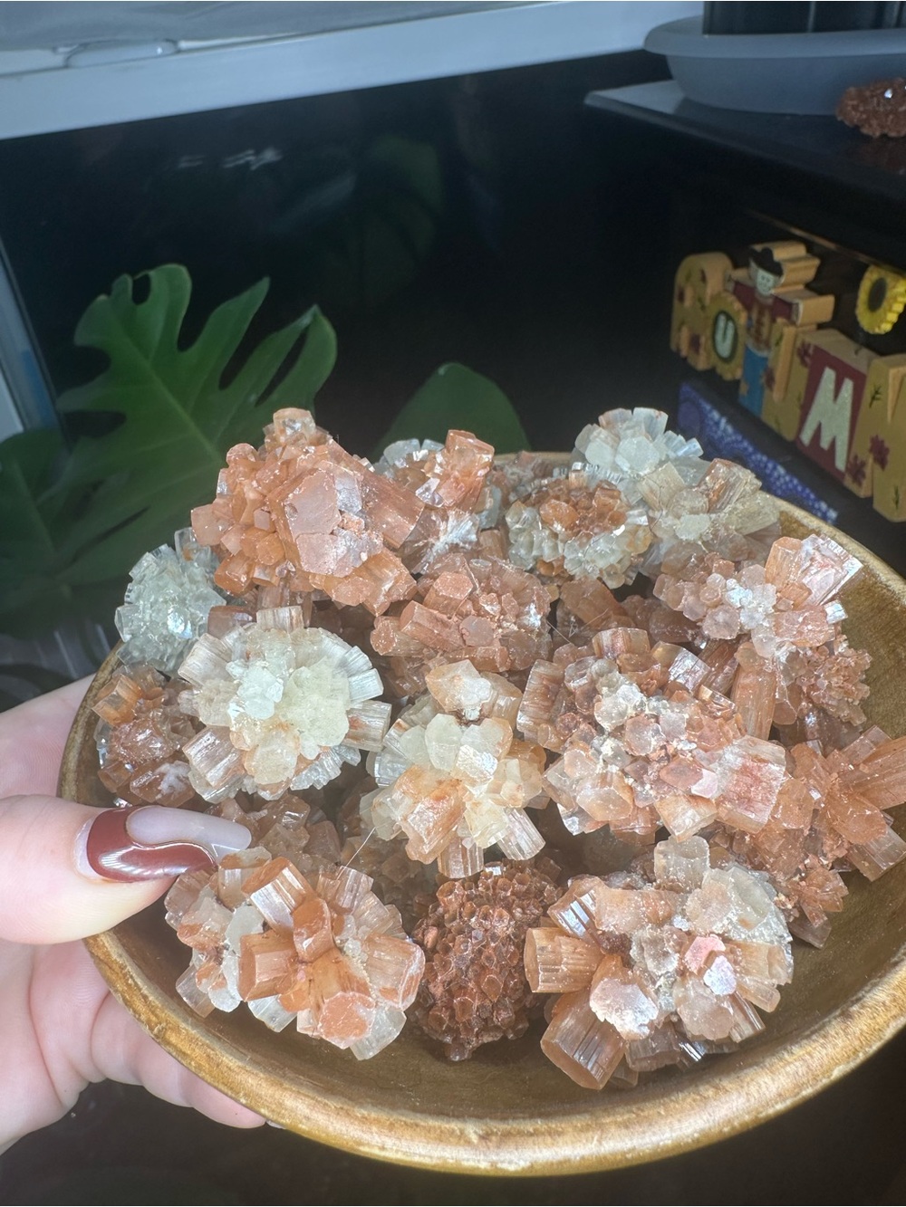 1 RANDOM Aragonite Flower Crystal Cluster - Peach & Cream